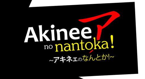 LOGO Akinee no nantoka!