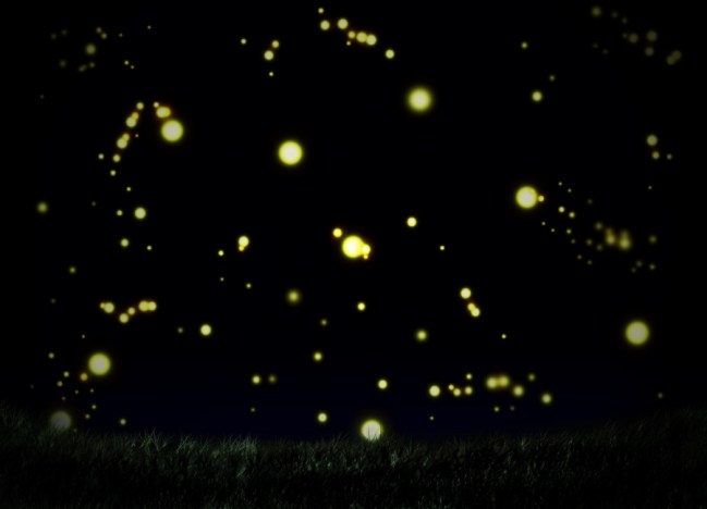 noche de luciernagas